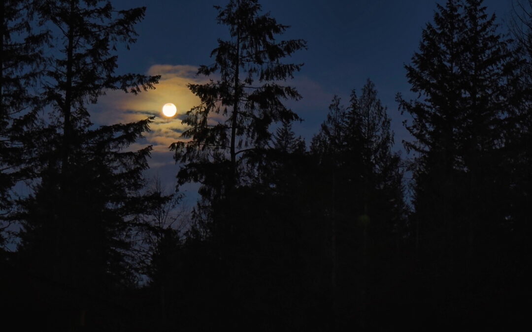 The Last Full Moon Of 2024 - About an hour before sunrise this morning, this was the sight behind our barn when I walked out on the porch to get firewood. The start of a beautiful day? The calm before the storm? A harbinger of a better year ahead? Who knows? We hope for the best.